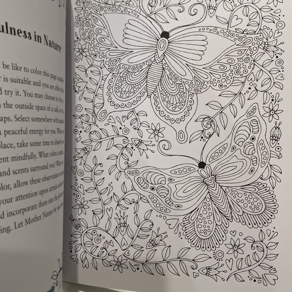 Two books - Picture 5 of 11